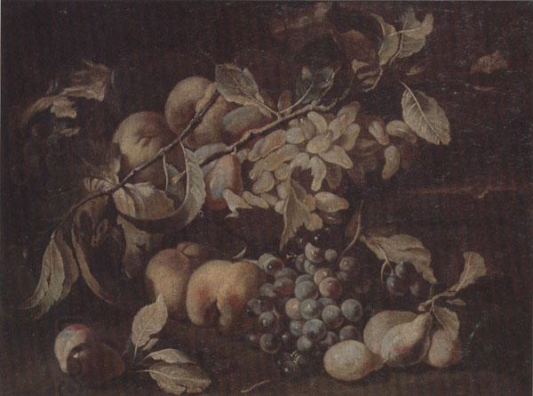 unknow artist Still life of red and white grapes,peaches and plums,on a stone ledge